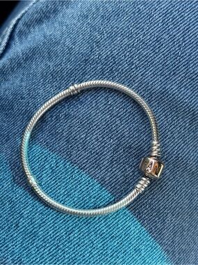 Pandora Charm Bracelet